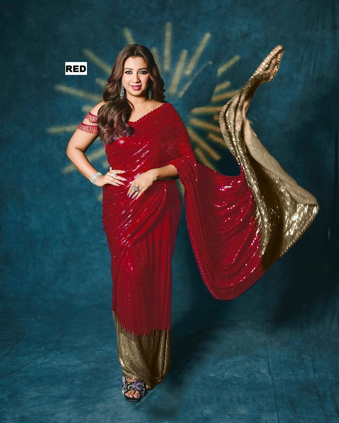 Designer Sequin Sarees