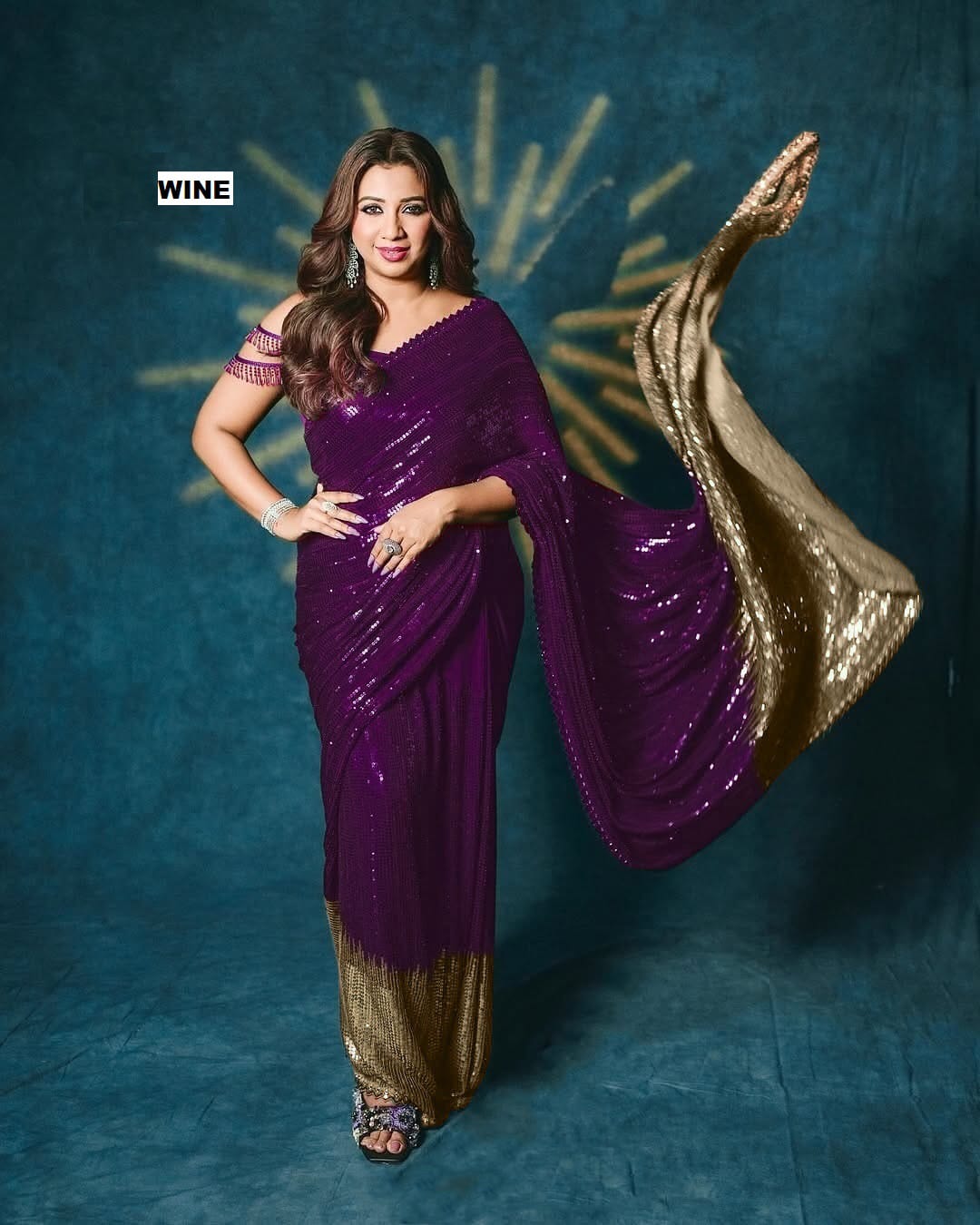 Designer Sequin Sarees