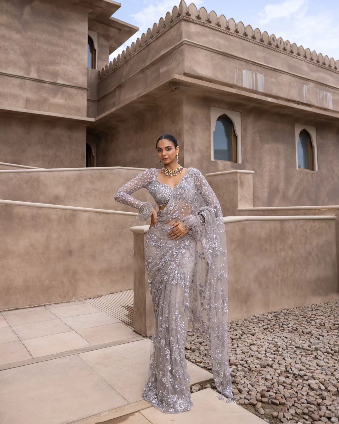Grey Mono Net Sequins Embroidery Saree