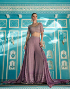 Designer Blouse & Palazzo Set