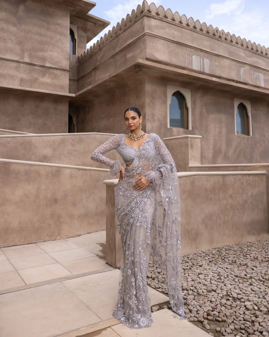 Grey Mono Net Sequins Embroidery Saree