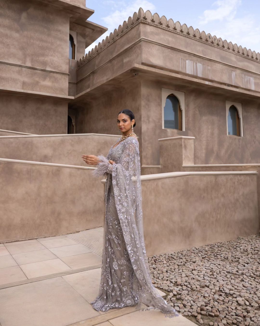 Grey Mono Net Sequins Embroidery Saree