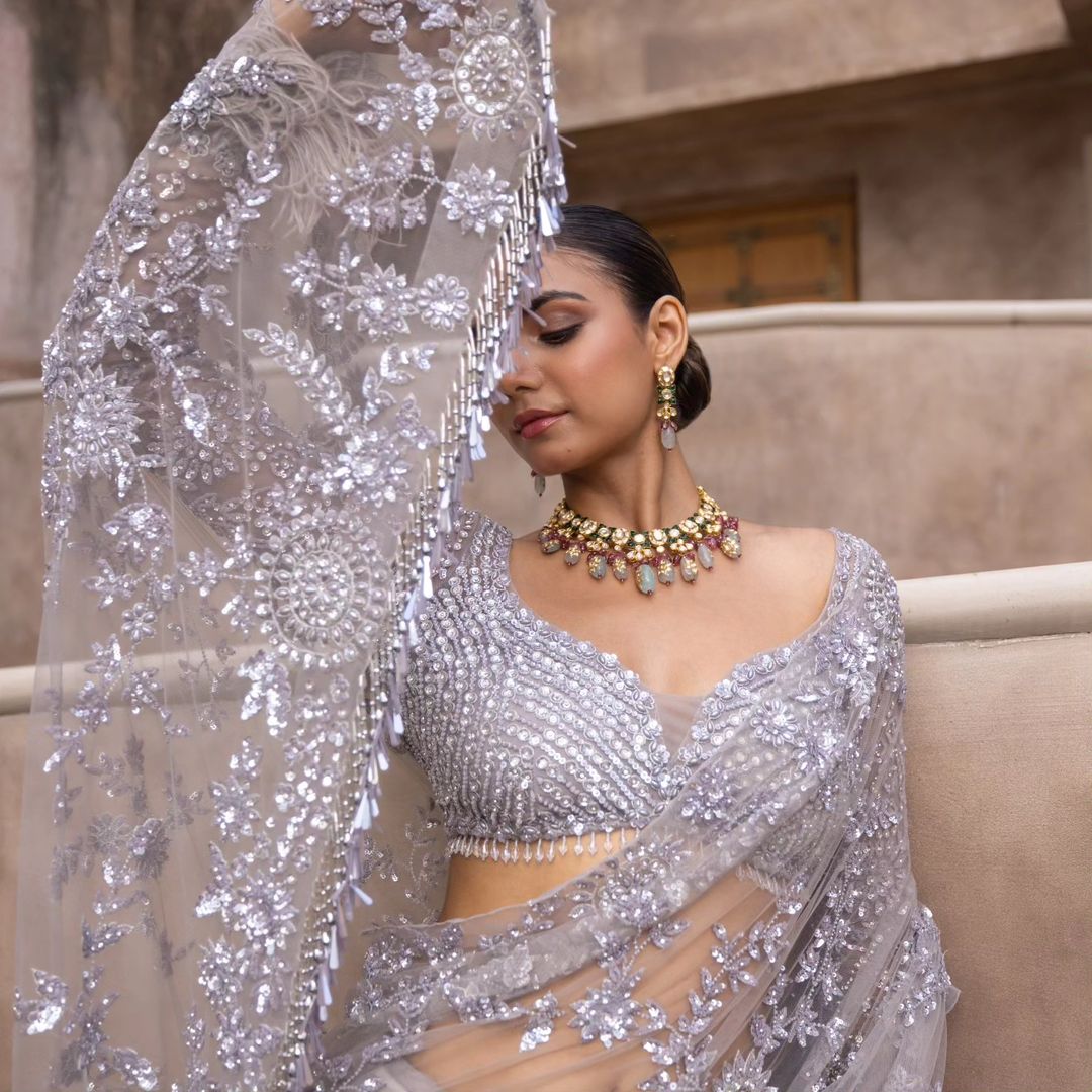 Grey Mono Net Sequins Embroidery Saree