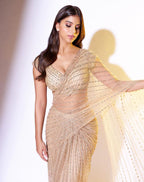 Luxury Mono Net Saree with Sequins Embroidery Work
