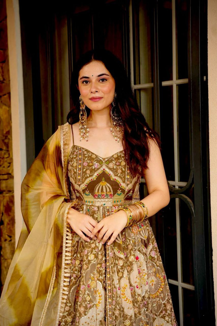 Beautifull Embroidey Zari Work Gown