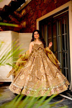 Beautifull Embroidey Zari Work Gown
