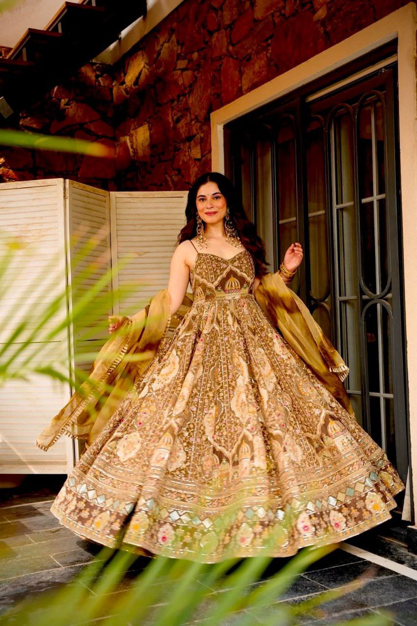 Beautifull Embroidey Zari Work Gown