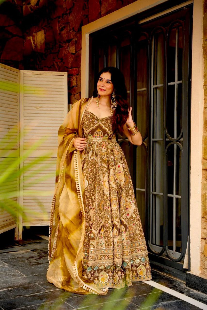 Beautifull Embroidey Zari Work Gown