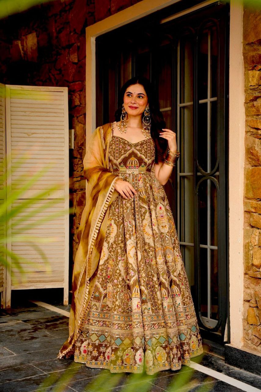 Beautifull Embroidey Zari Work Gown