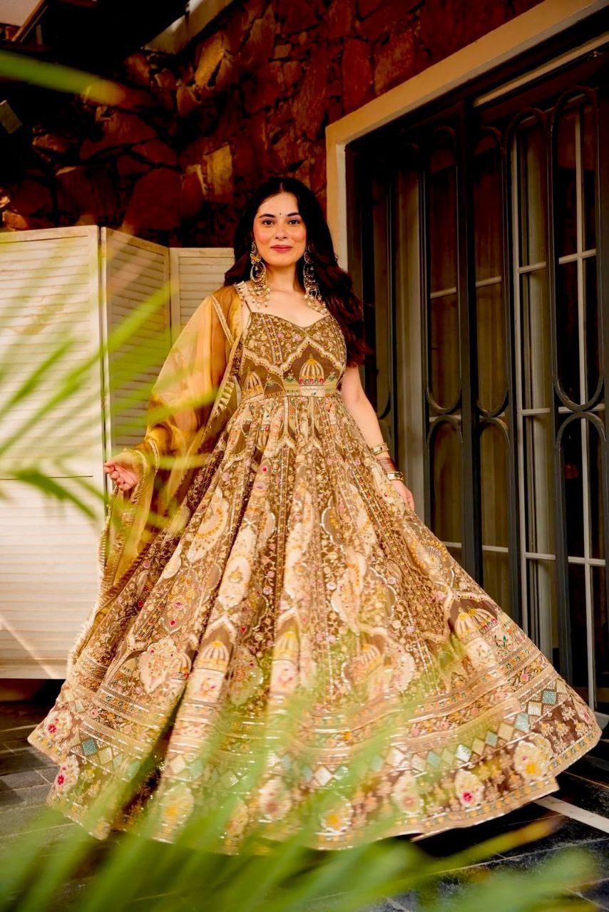 Beautifull Embroidey Zari Work Gown