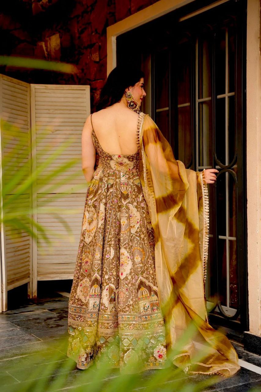 Beautifull Embroidey Zari Work Gown